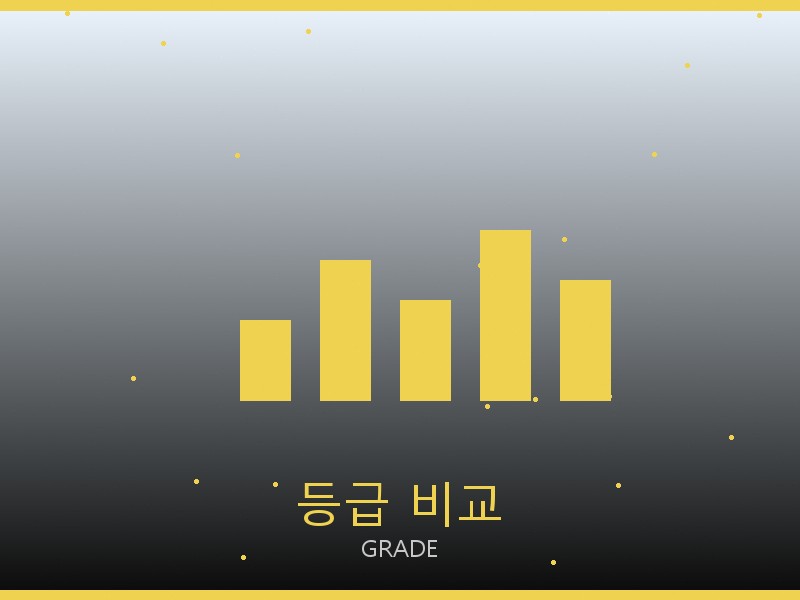 여성 레플리카 사이트 등급 기준 비교