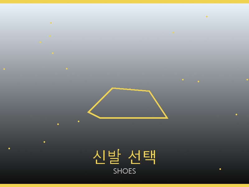 여성 레플리카 사이트 신발 선택 가이드